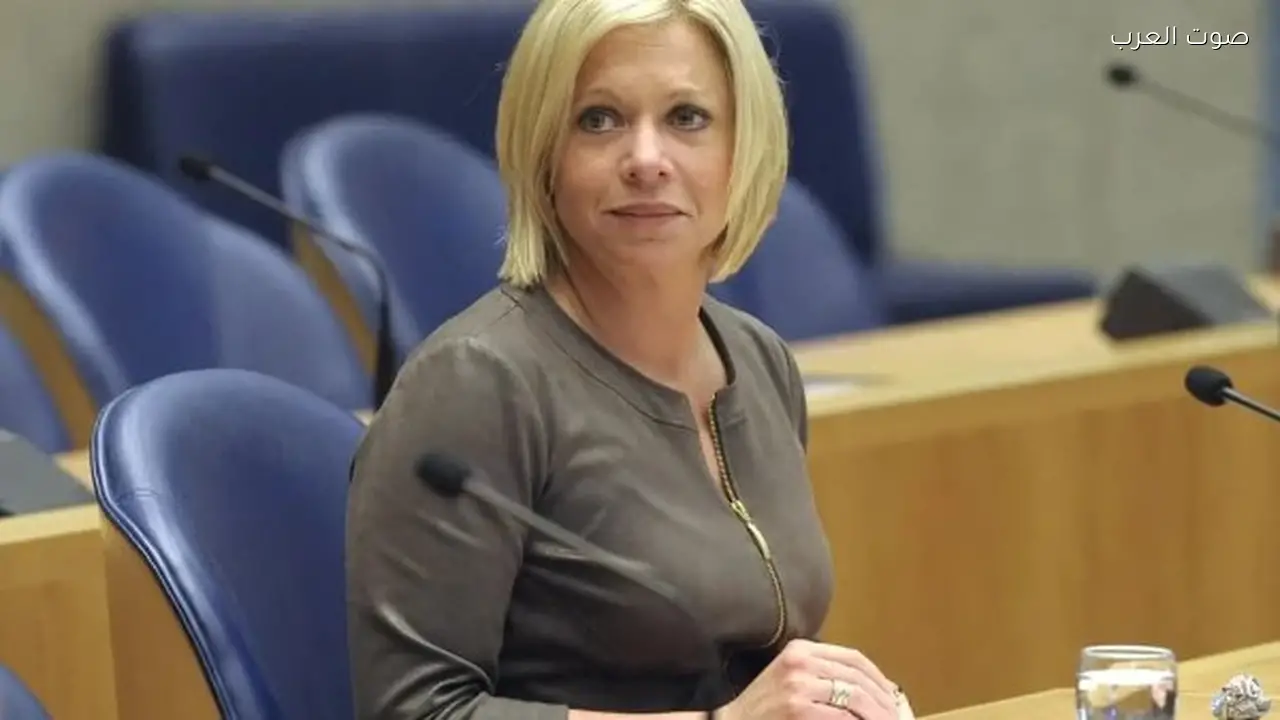 منسقة أممية تطالب بوقف فوري لإطلاق النار في لبنان