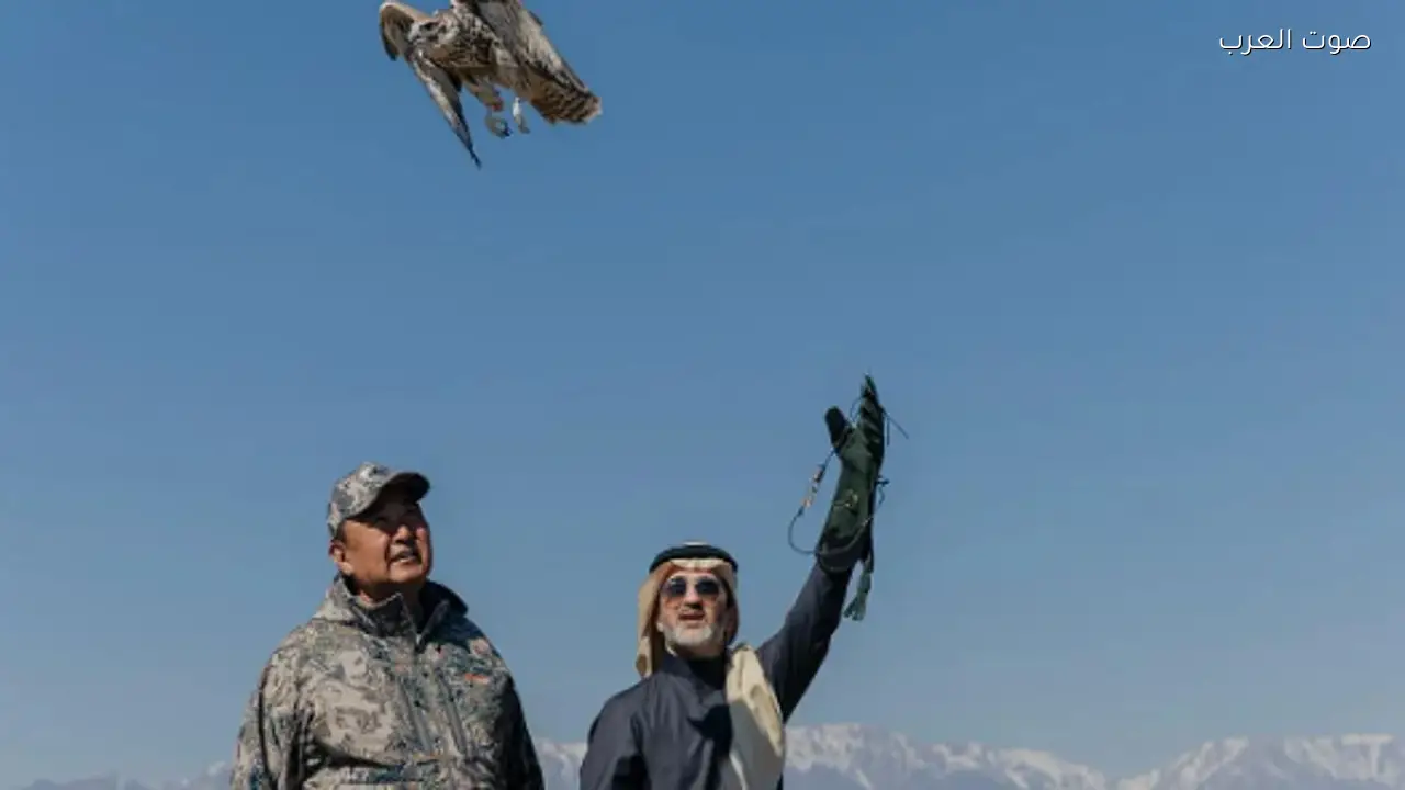 نادي الصقور السعودي يطلق صقورًا في كازاخستان لتعزيز التوازن البيئي