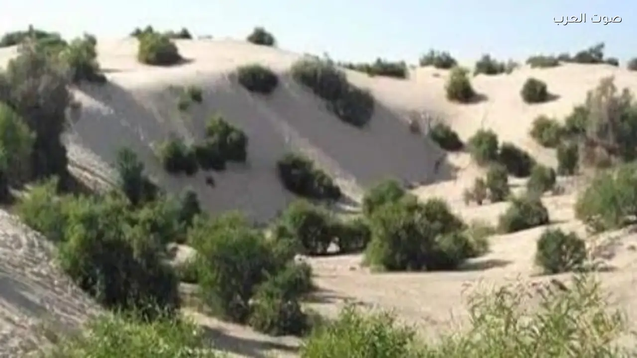 نباتات نادرة في محمية الأحراش: 8 أنواع مميزة