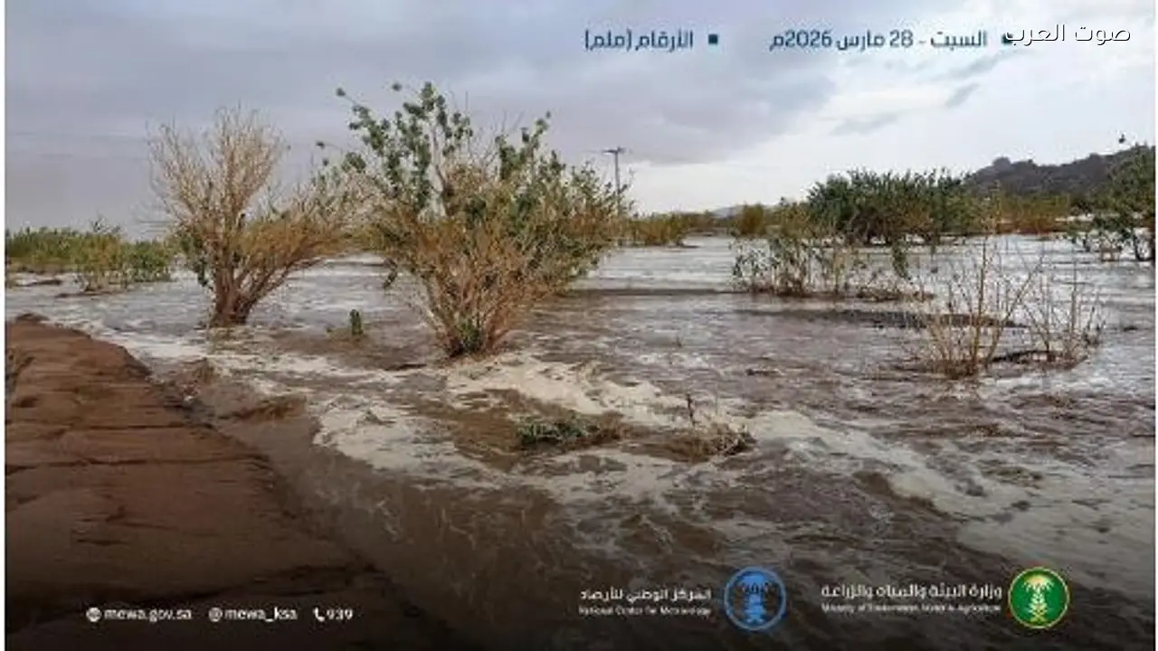 هطول الأمطار في 6 مناطق بالسعودية وثار بنجران تسجل 27.4 ملم