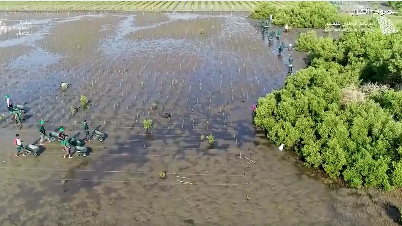 وزارة الاستثمار تؤهل مليون هكتار من الأراضي لدعم التنمية المستدامة ورؤية 2030