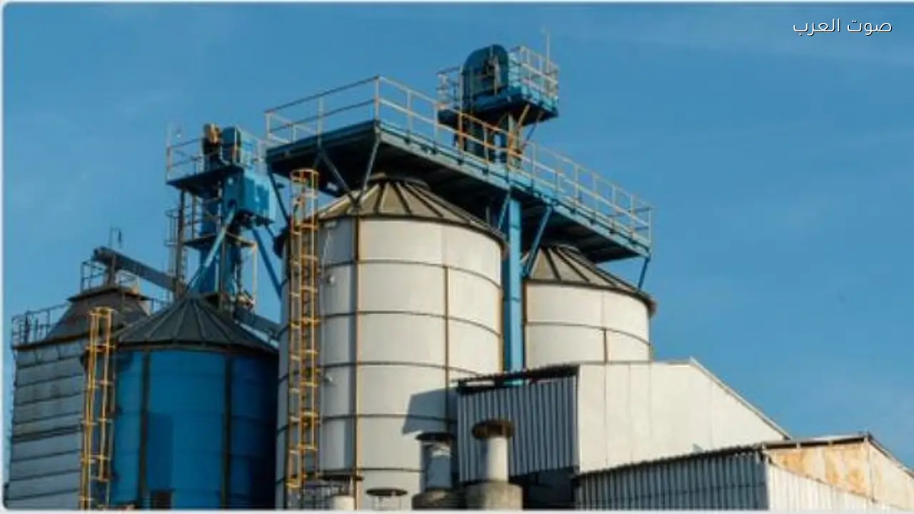 وزارة الصناعة تعالج 697 طلبًا للفسح الكيميائي في فبراير 2026