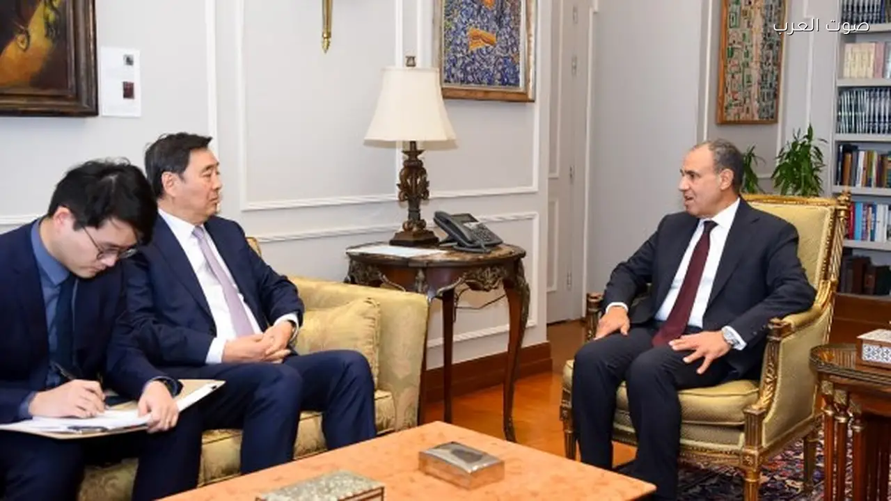 وزير الخارجية: انتهاك سيادة الدول العربية يهدد الأمن القومي المصري والعربي