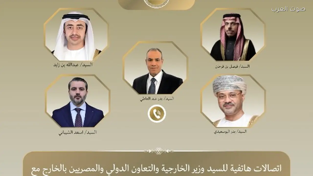 وزير الخارجية يؤكد رفض أي مساس بسيادة الدول العربية