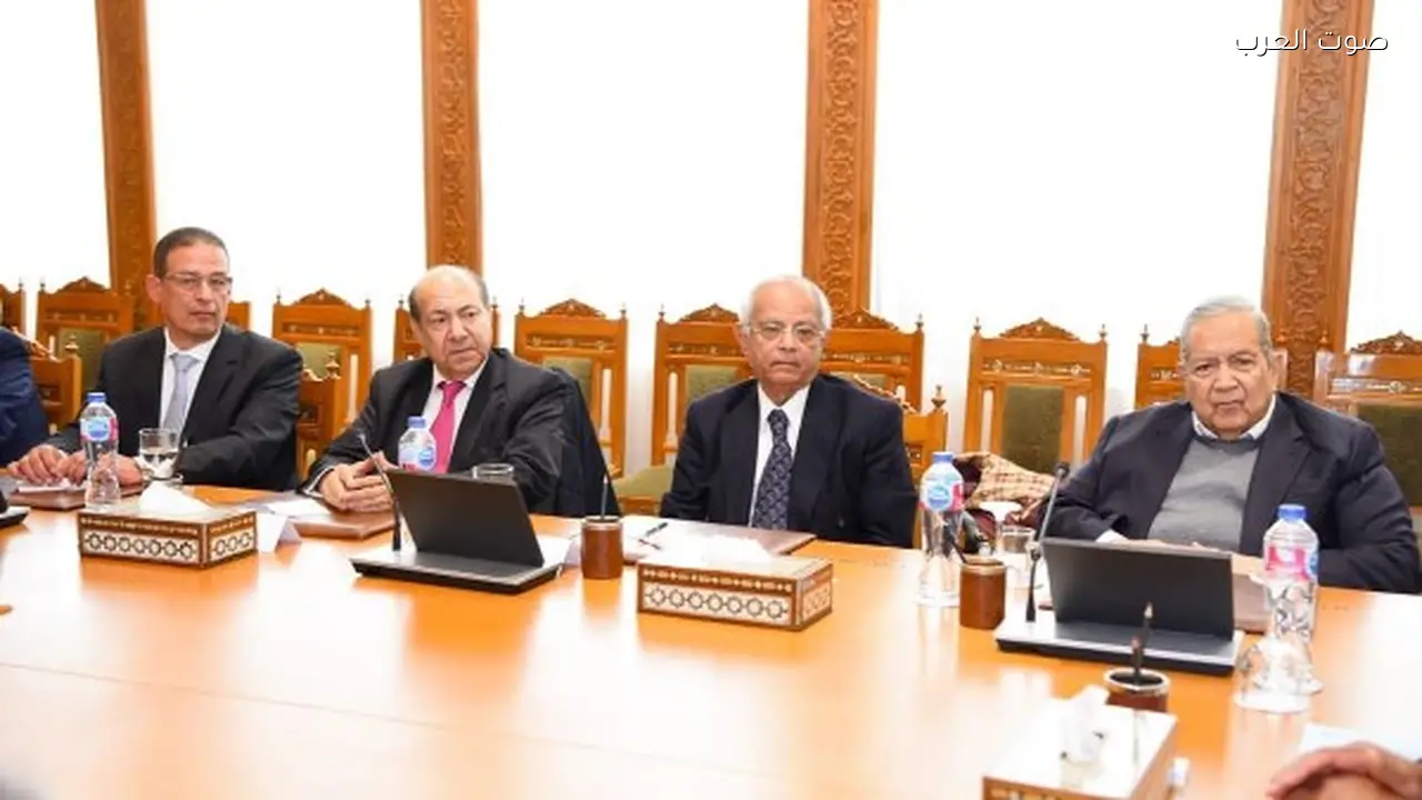 وزير الخارجية يناقش الموقف المصري مع سفراء متقاعدين