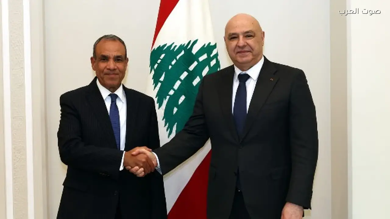 وزير الخارجية ينقل رسالة دعم من مصر للرئيس اللبناني