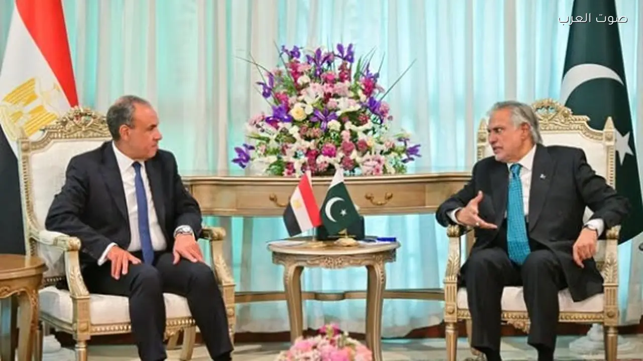 وزيرا خارجية مصر وباكستان يبحثان تعزيز العلاقات والتطورات الإقليمية