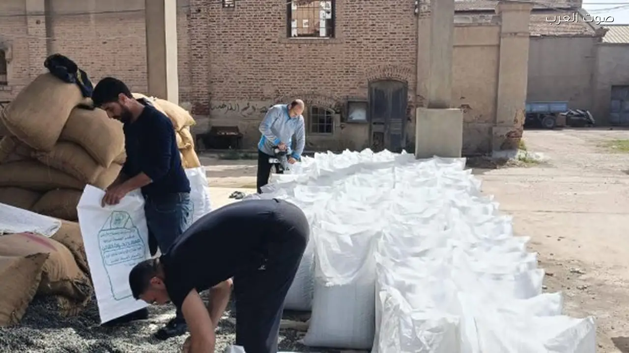 15 ألف شيكارة تقاوي قطن جاهزة للمزارعين قبل موسم الزراعة