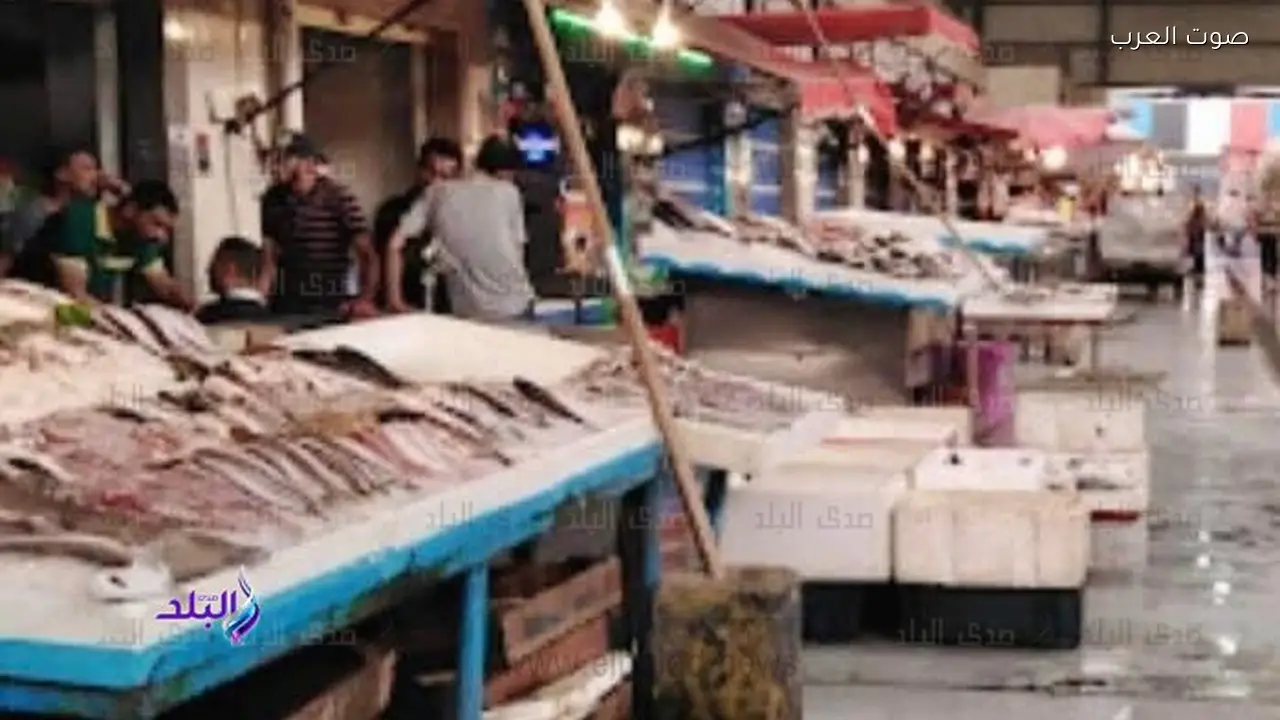 أسعار الأسماك تنخفض اليوم والجمبري يتراجع 40 جنيه