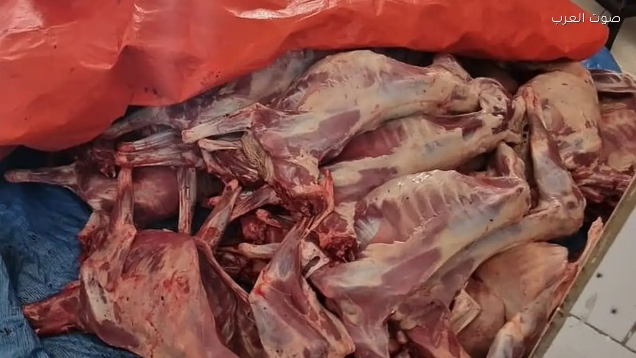 أمانة جدة تتلف 3 أطنان من الذبائح الفاسدة
