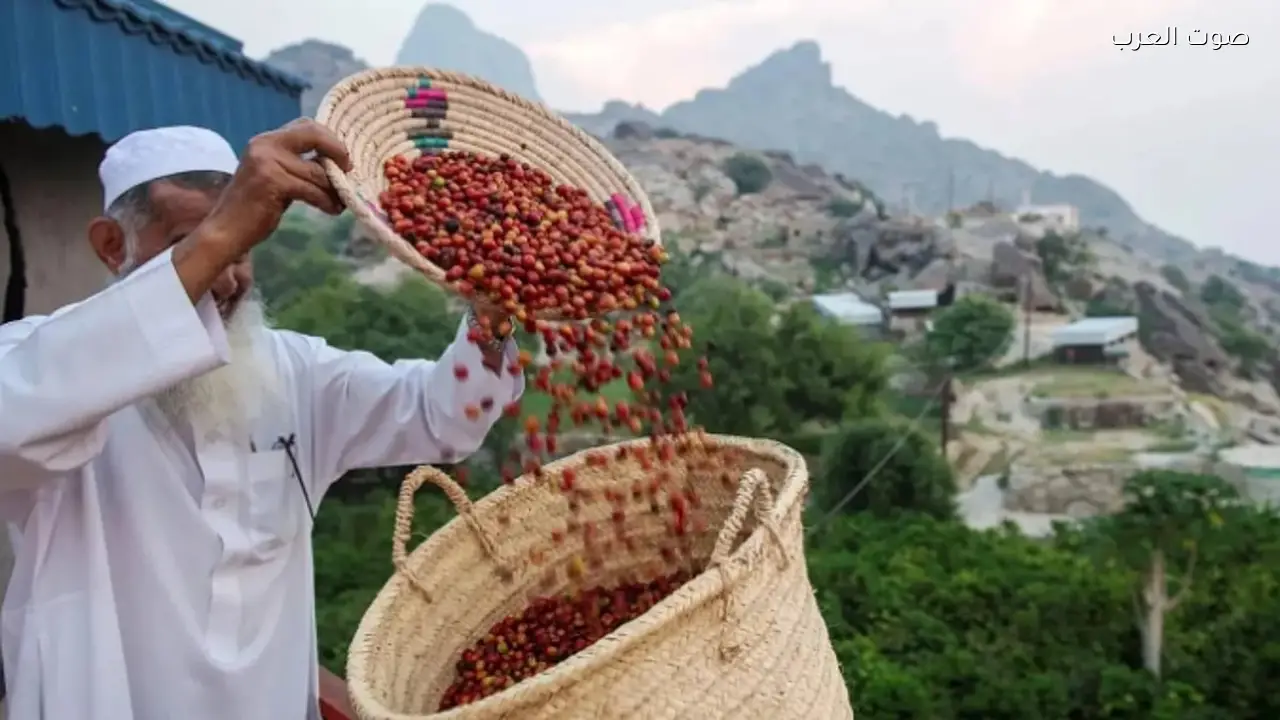 أمير جازان يعتمد مسار تمكين مشروع مركز تطوير البن السعودي