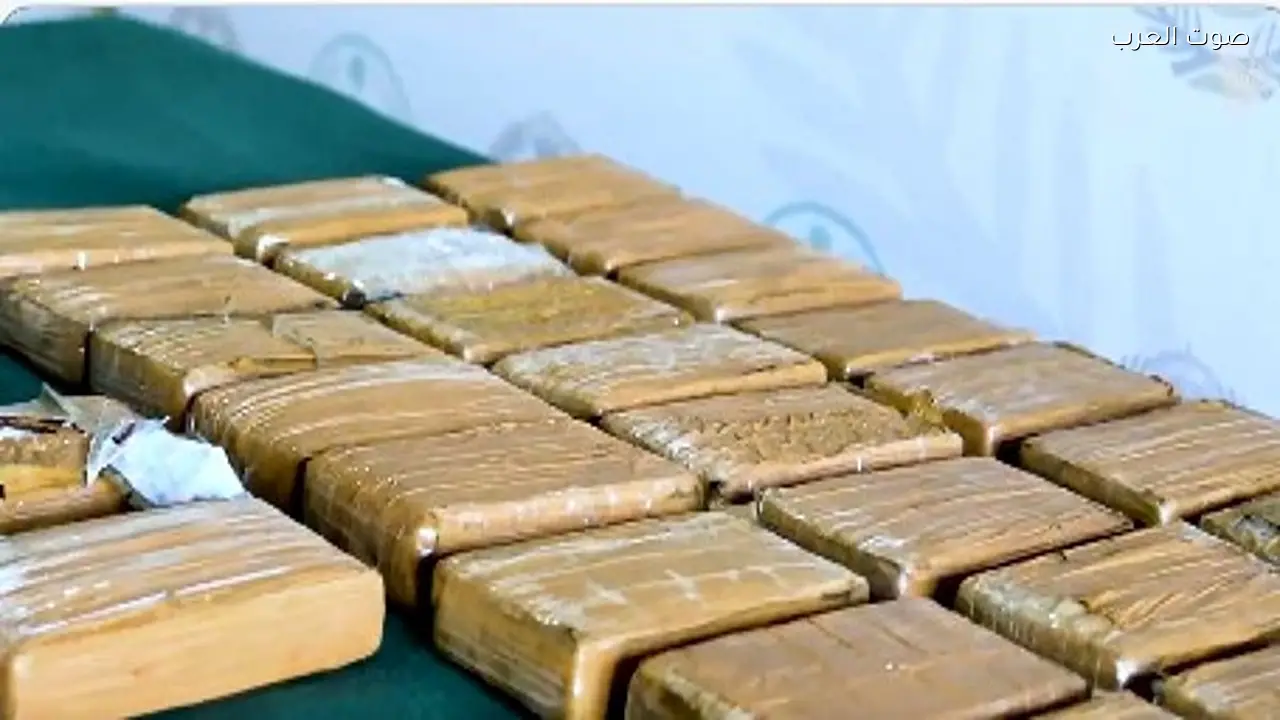 إحباط تهريب 29 كيلوغرامًا من الكوكايين في ميناء جدة