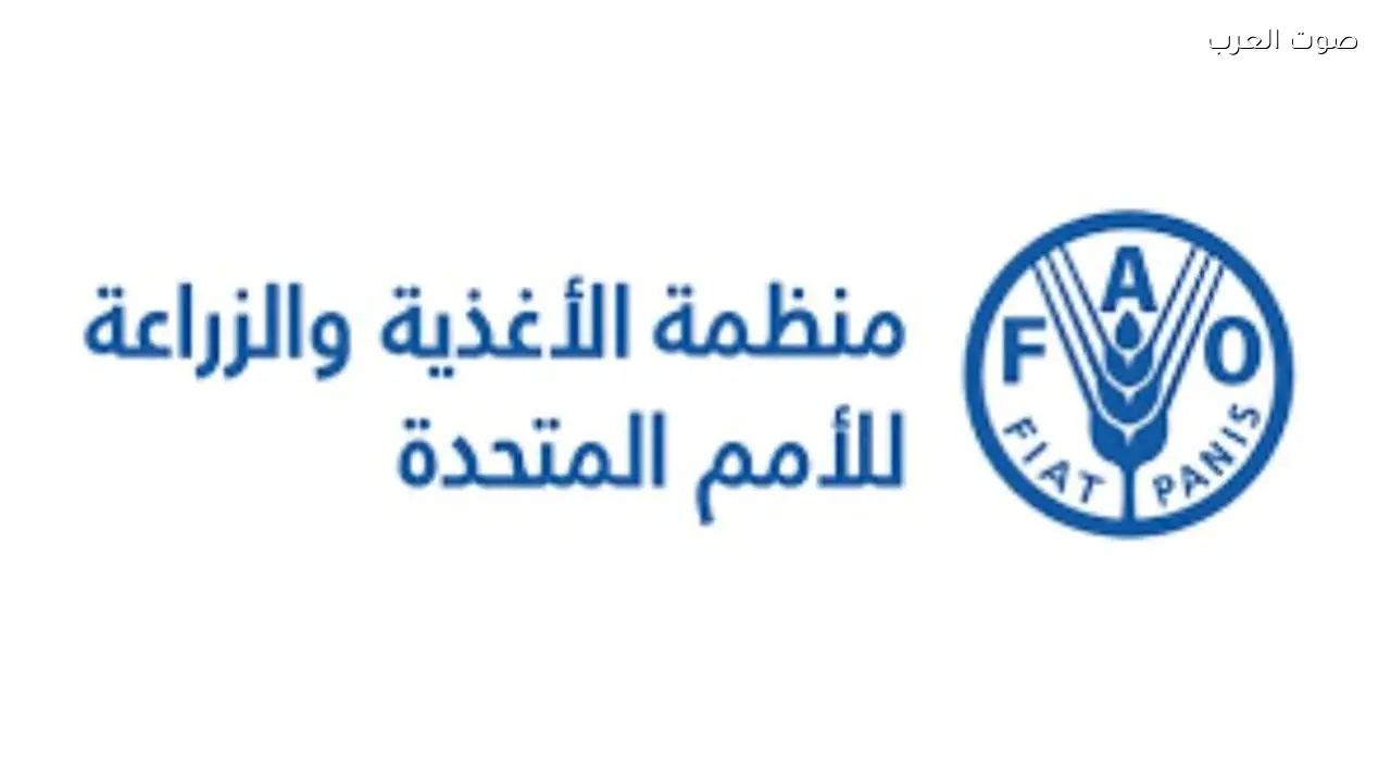 ارتفاع أسعار الغذاء عالميًا في مارس بسبب توترات الشرق الأوسط