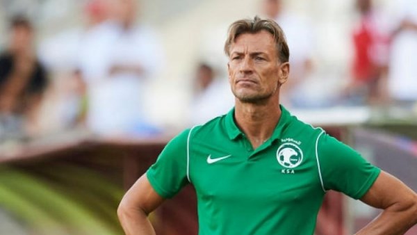 الأهلي يوضح موقفه من مفاوضات تدريب هيرفي رينارد