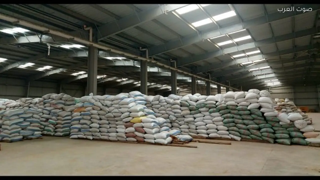 البنك الزراعي المصري يستعد لموسم توريد القمح 2026