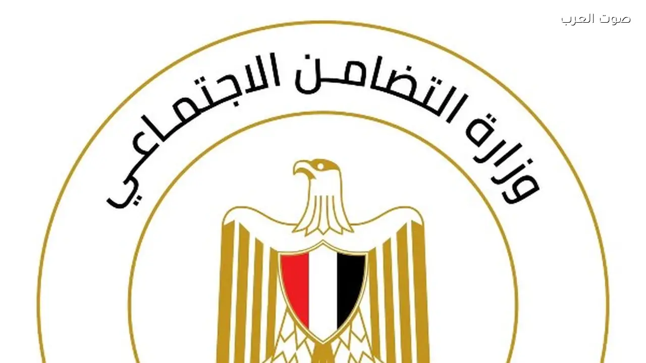 التضامن: مساعدات مالية للسيدة المسنة بالشرقية وأحفادها الثمانية