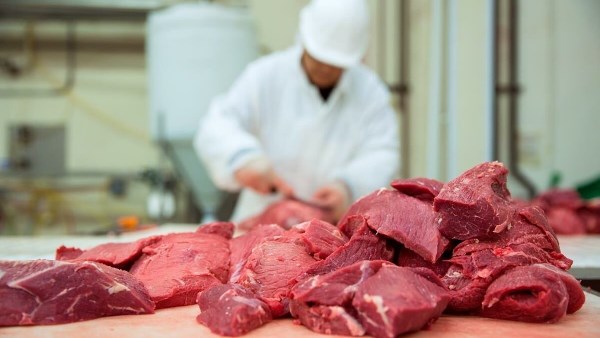 الحكومة تتخذ إجراءات لتوفير اللحوم قبل عيد الأضحى