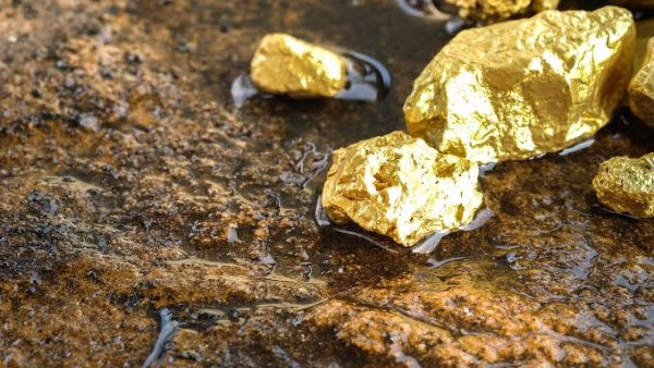 الحكومة تعلن عن فرصة جديدة للمستثمرين في الأراضي الذهبية