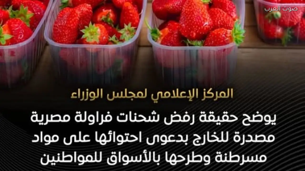 الحكومة توضح حقيقة رفض شحنات الفراولة المصدرة للخارج
