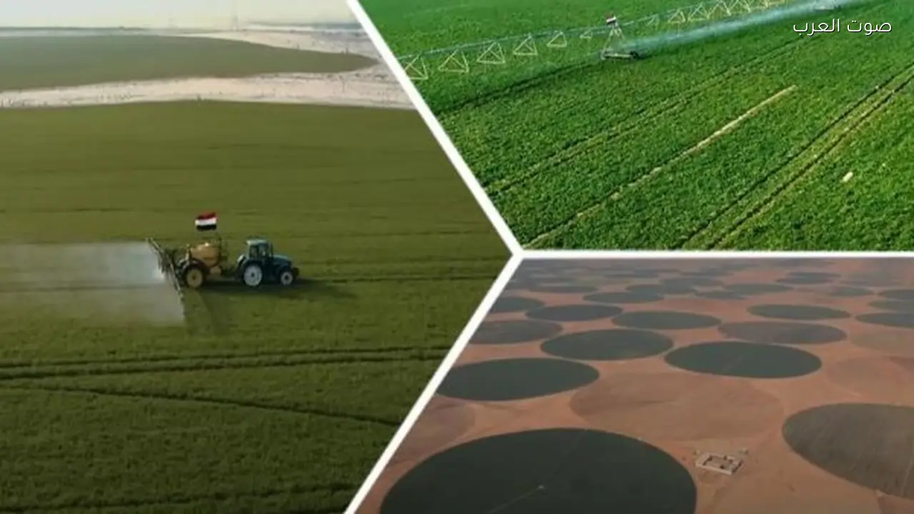 الدلتا الجديدة تعزز الأمن الغذائي في مصر