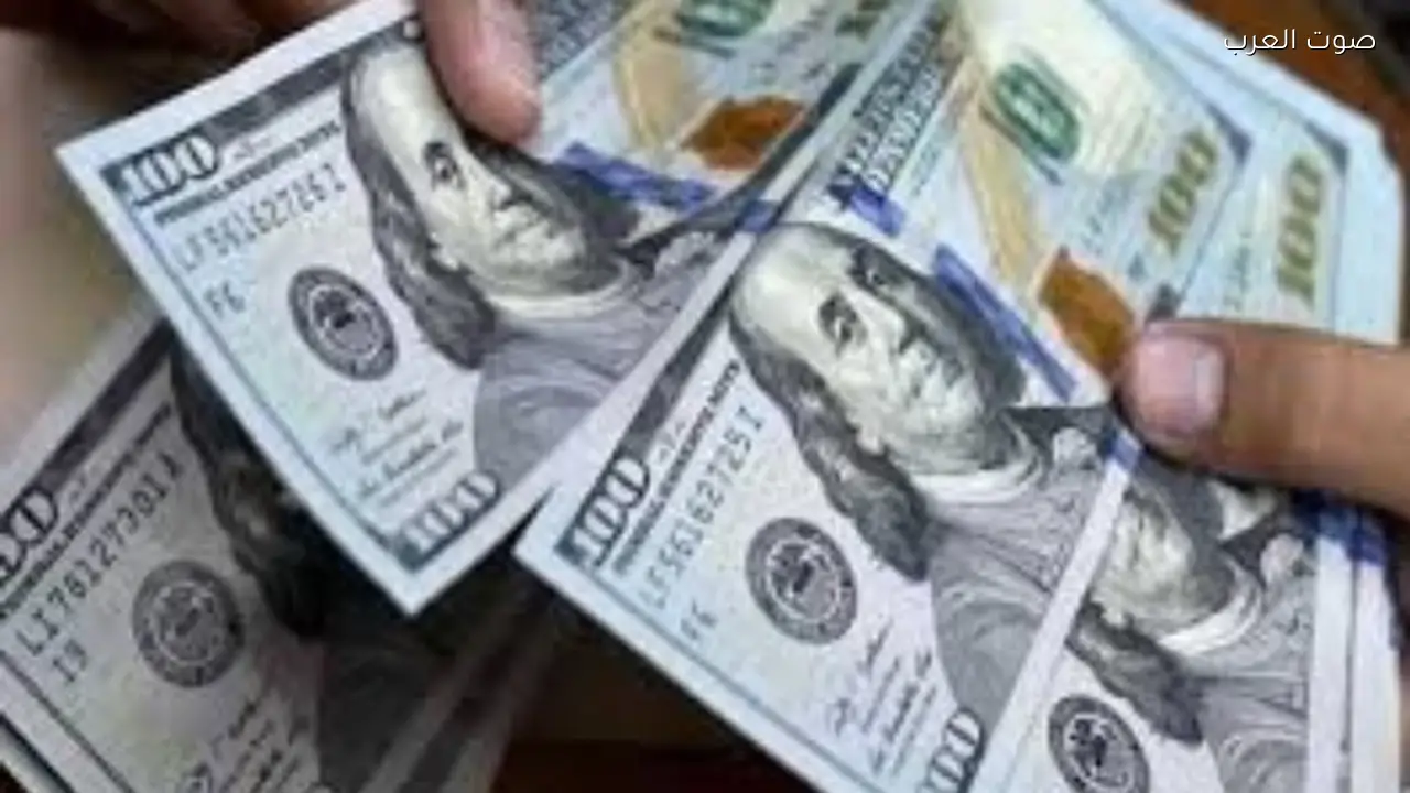 الدولار يرتفع 60 قرشًا ويسجل 53.56 جنيه في أول تعاملات المساء