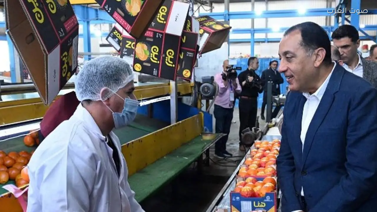 الذكاء الاصطناعي يعزز صادرات الحاصلات المصرية وفقاً لوزير الاستثمار