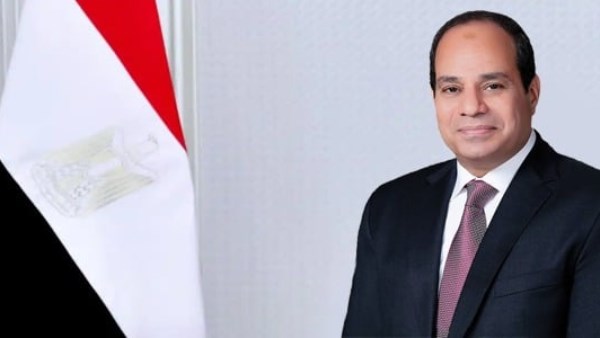 الرئيس السيسي يبحث تطوير الطيران المدني مع سكرتير عام الإيكاو