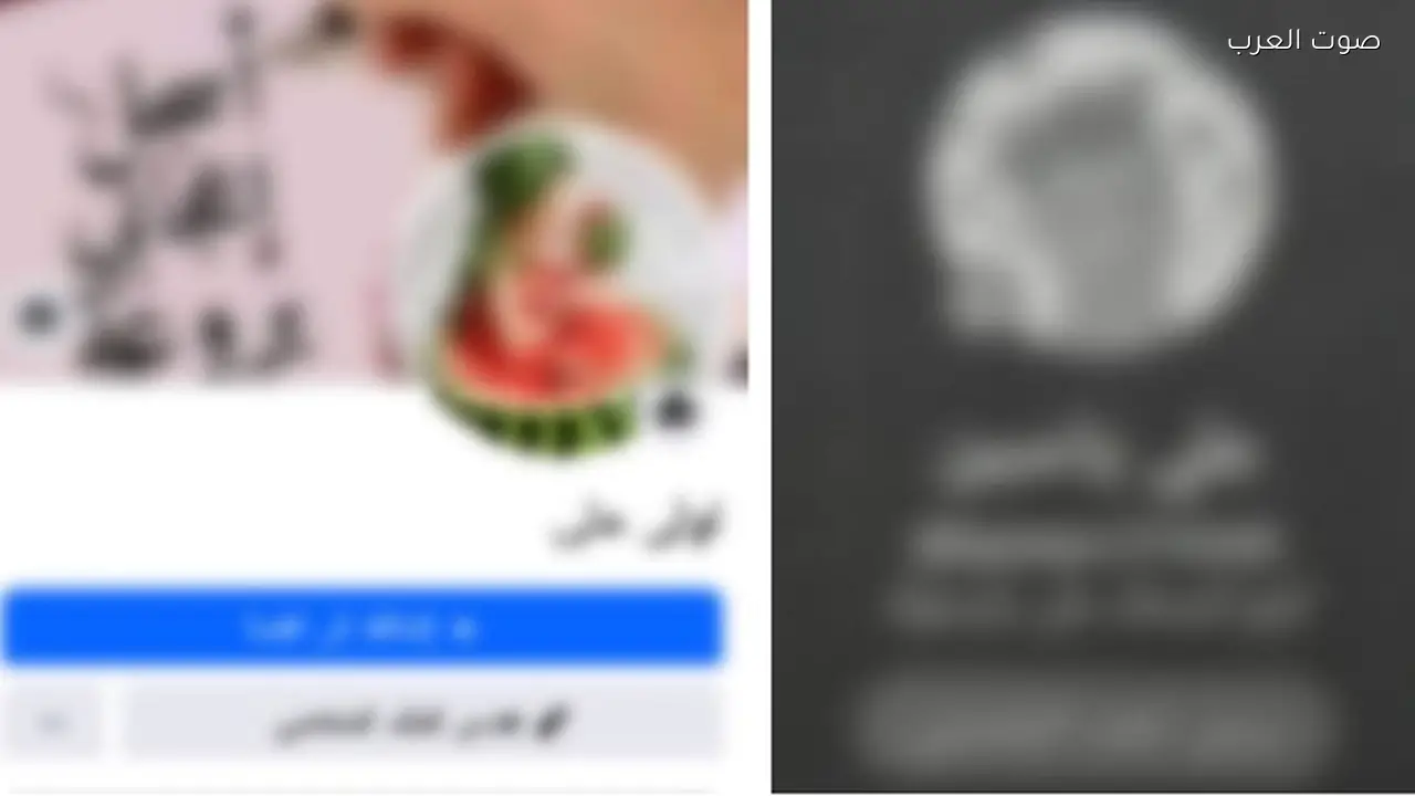 القبض على شبكة تمارس أعمال منافية للآداب في الدقهلية