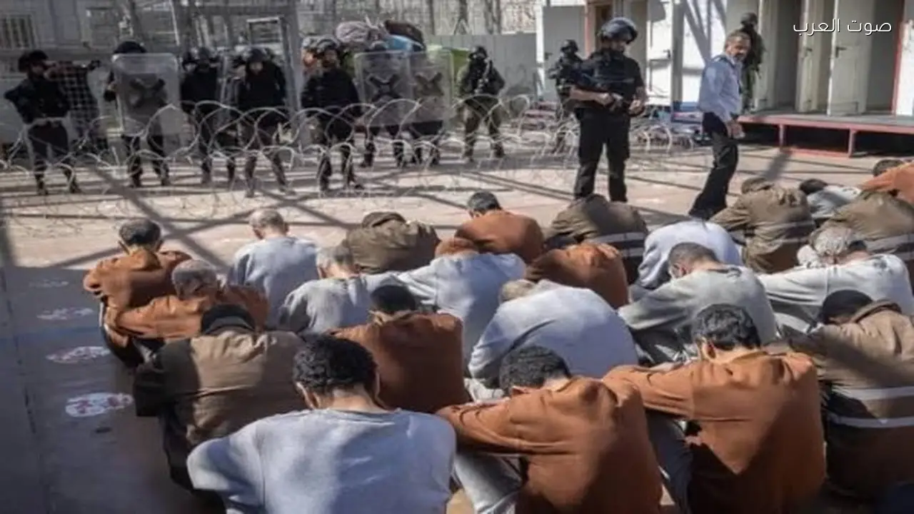 المنظمة العربية: قانون إعدام الأسرى يعد جريمة حرب وانتهاك للقانون الدولي