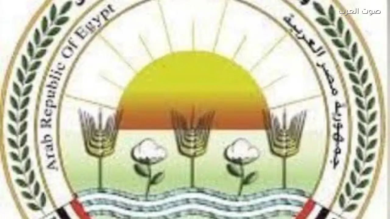 تحصين 2.1 مليون رأس ماشية في حملة لمكافحة الجلد العقدي وجدري الأغنام