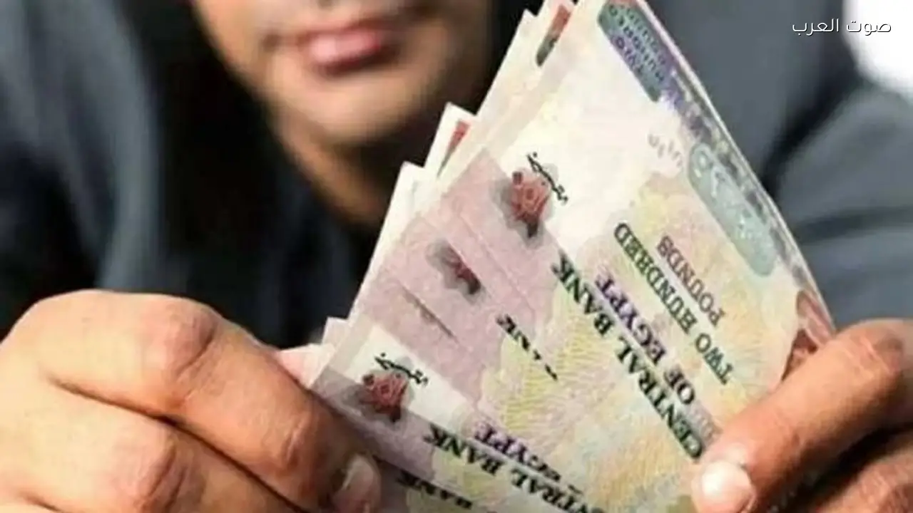 تفاصيل شهادات البنوك ذات العائد المرتفع في مصر