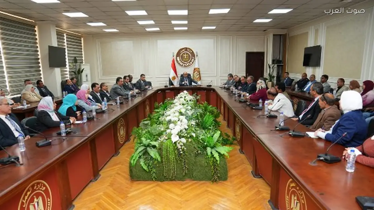 تنمية مهارات العاملين بمديريات العمل في مصر