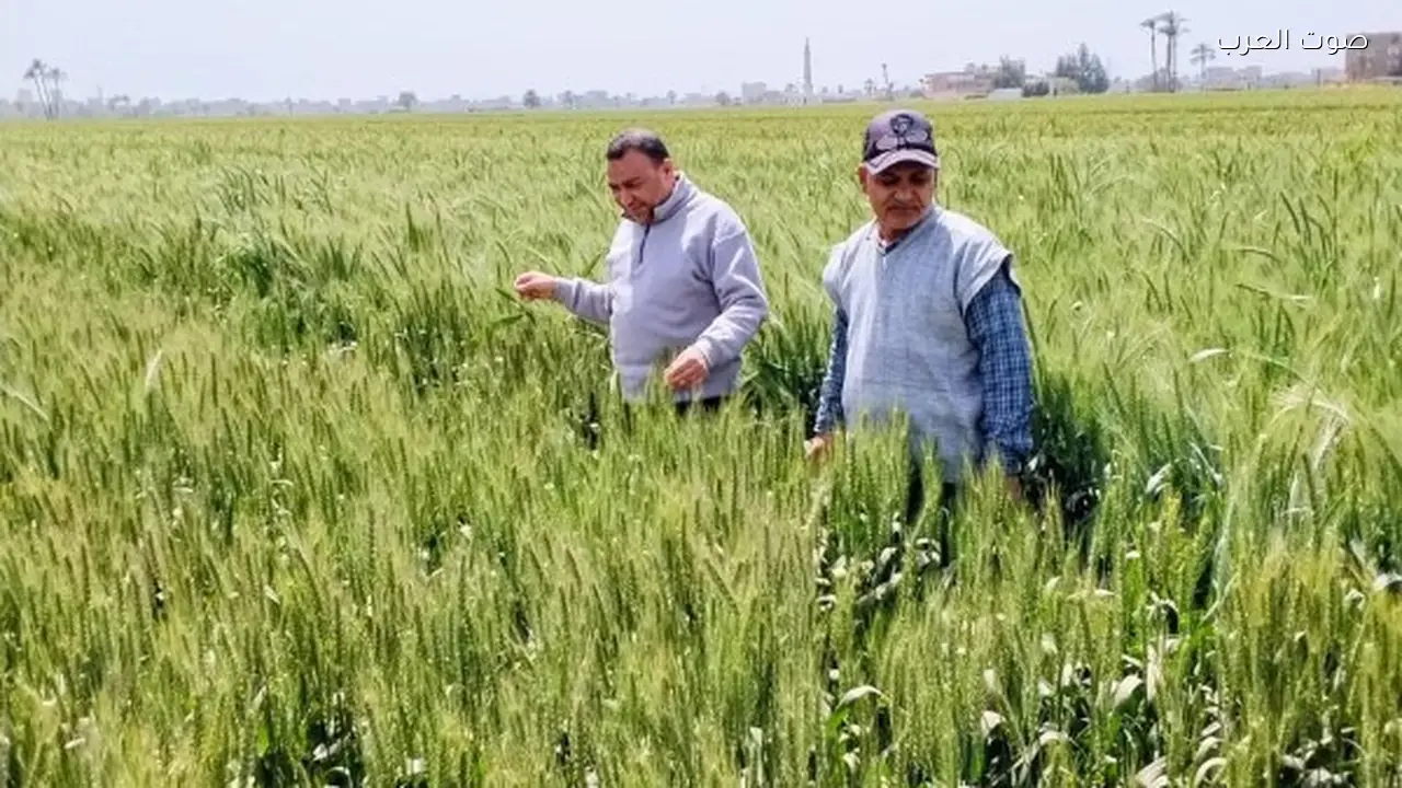 توفير سلع زراعية بأسعار مخفضة وإزالة المعتدين على الأراضي في مارس