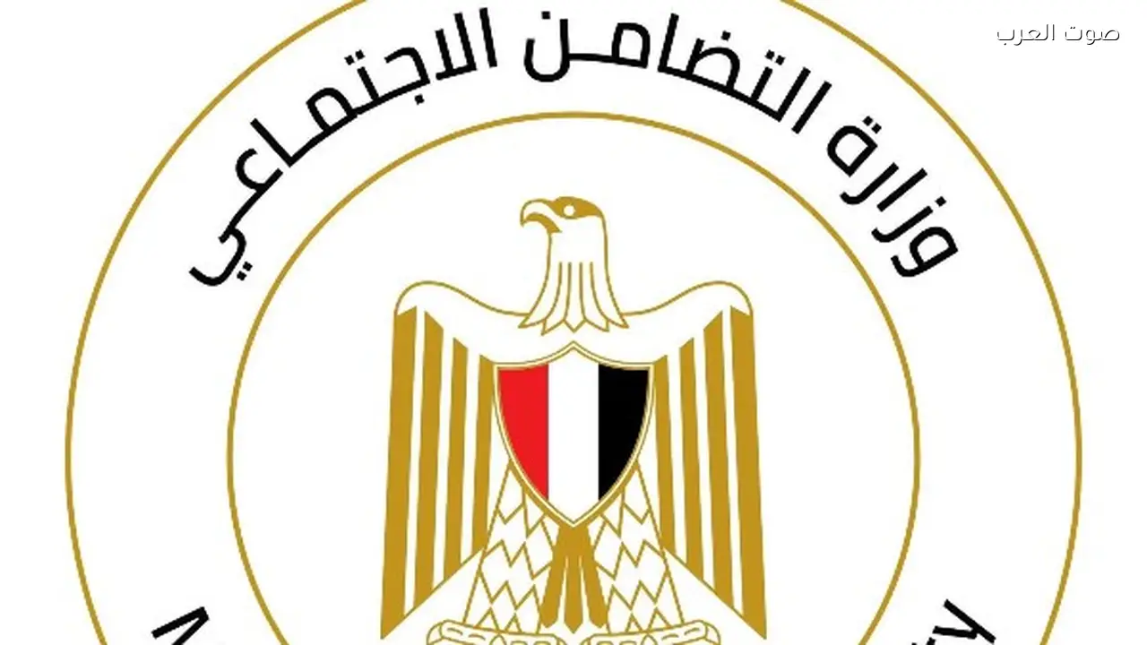 توفير مساعدات مالية للسيدة المسنة بالشرقية وأحفادها الثمانية