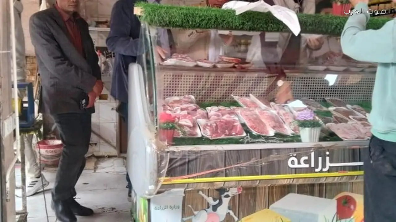 حملة تفتيش تضبط لحوم وكبدة تالفة في شبرا الخيمة