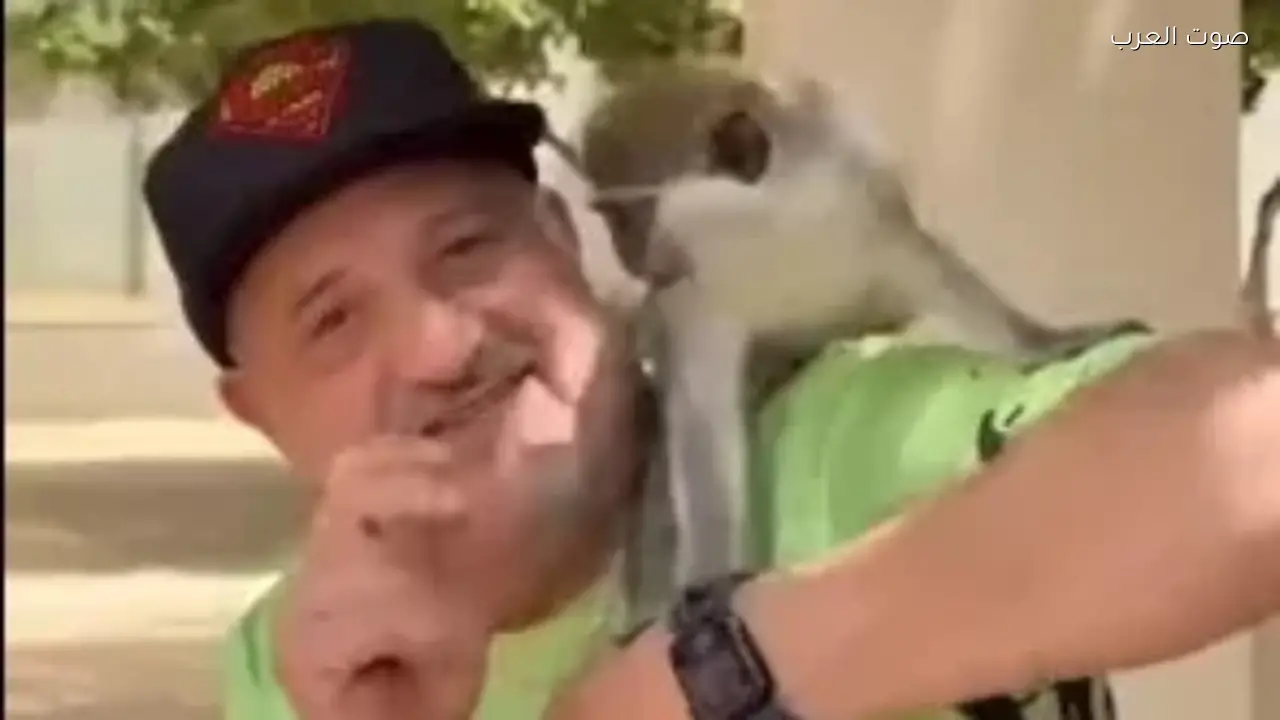 خالد الصاوي ينشر فيديو طريف مع النسناس