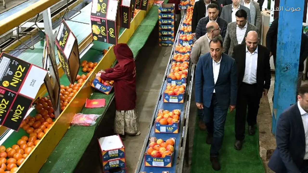 رئيس الوزراء يزور محطة تعبئة الموالح في القليوبية