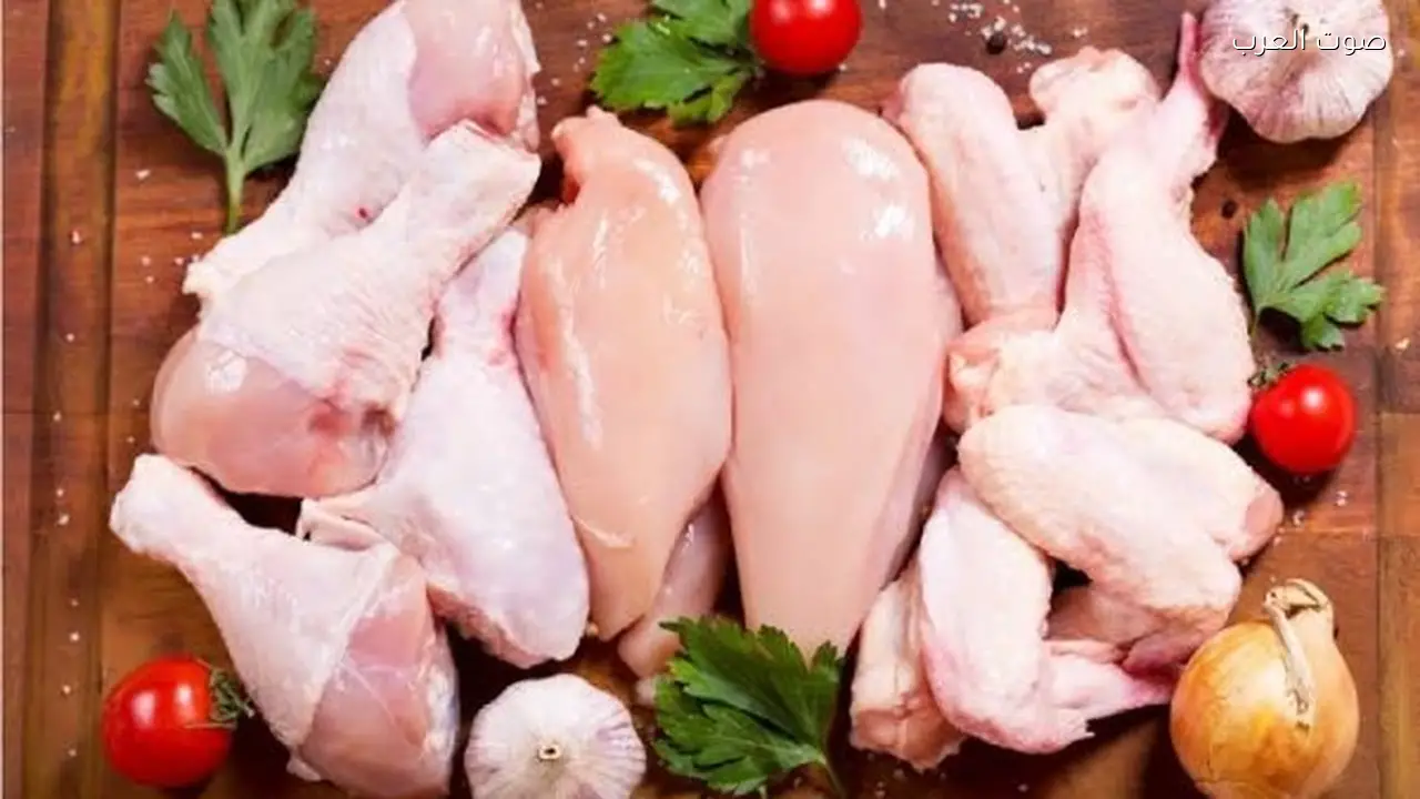 سعر الفراخ البيضاء 77 جنيها في المزرعة اليوم 6 أبريل