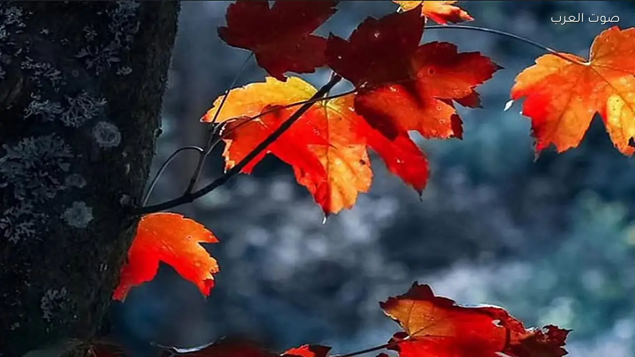 شهر أبريل يجلب ملامح الربيع للنصف الشمالي وفقًا لفلكية جدة