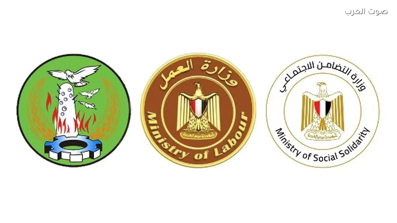 صرف 600 ألف جنيه تعويضًا لأسرة كل ضحية في حادث المنوفية