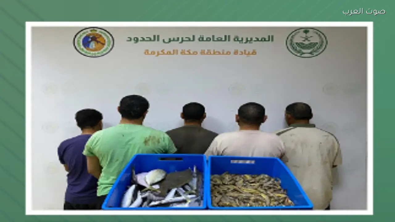 ضبط 5 مخالفين للأنشطة البحرية في القنفذة