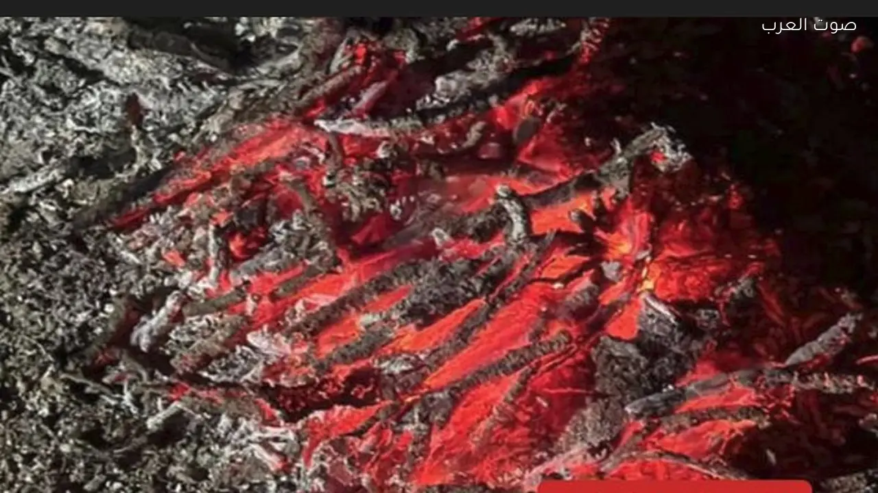 ضبط مواطن أشعل النار في محمية الإمام فيصل بن تركي