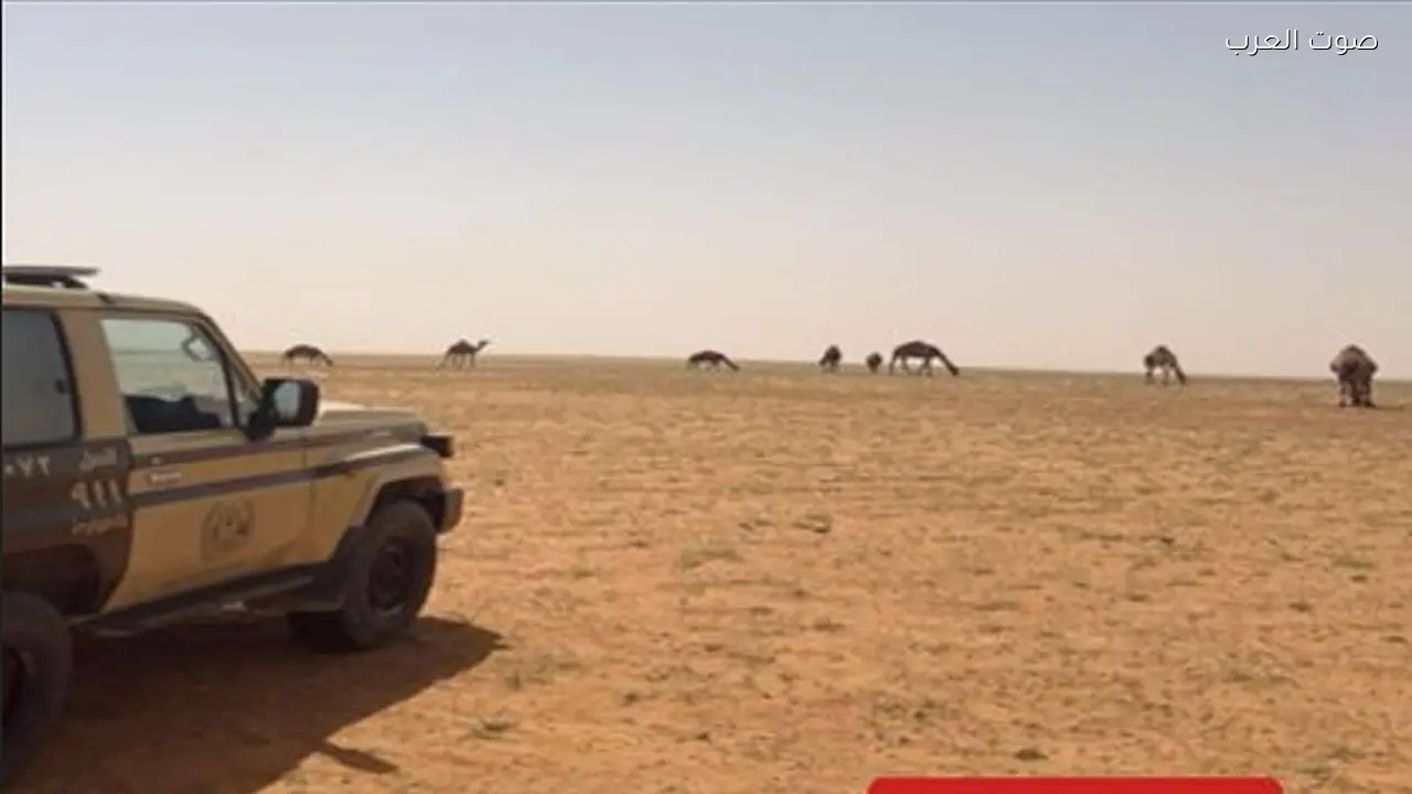 ضبط مواطن لمخالفة رعي في محمية الإمام عبدالعزيز بن محمد