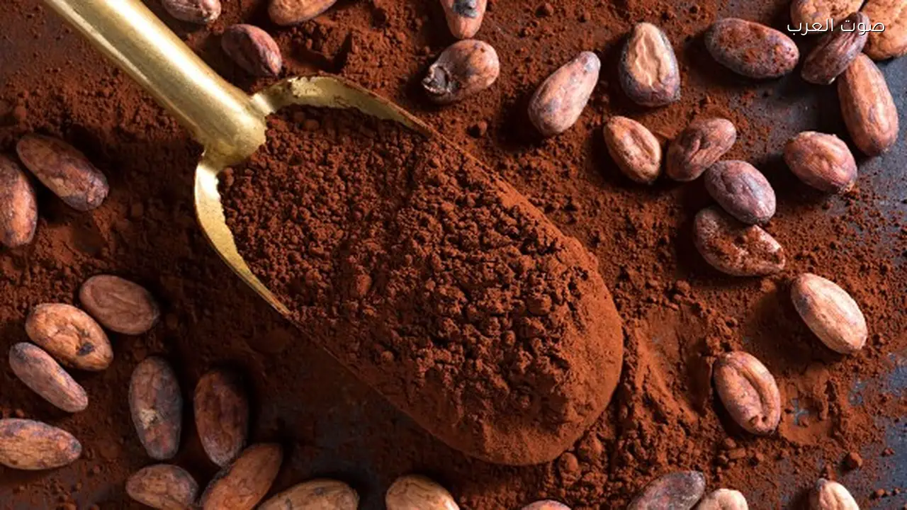 طريقة سهلة لعمل بودرة الكاكاو في المنزل