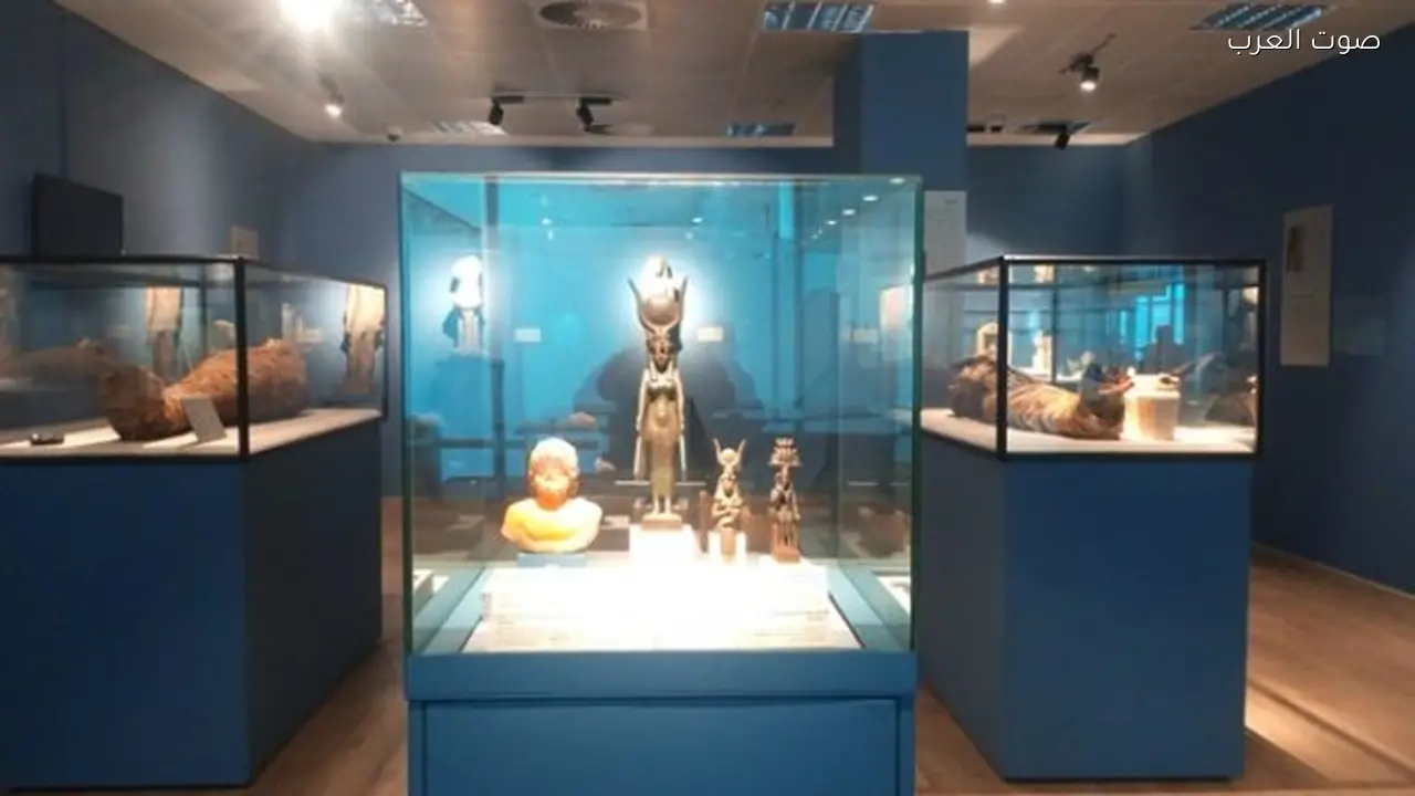 متحف مطار القاهرة يحتفل بيوم اليتيم بفعاليات خاصة