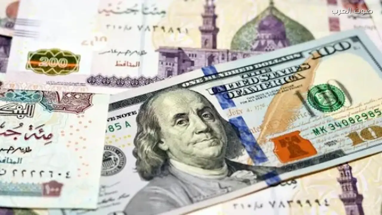 متوسط سعر الدولار أمام الجنيه المصري اليوم