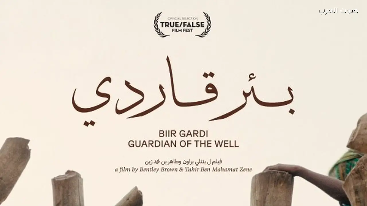 مهرجان الإسكندرية للفيلم القصير يكشف عن قائمة أفلام الوثائقية