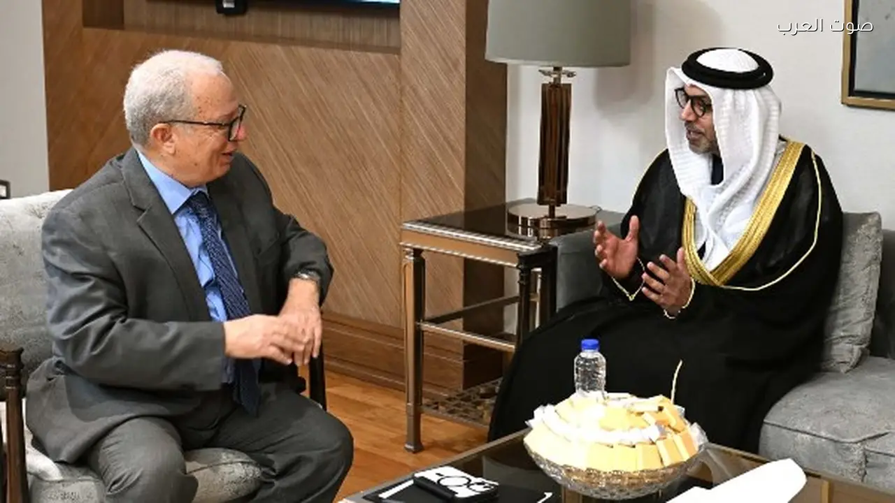 نائب رئيس الوزراء يلتقي سفير الإمارات لبحث التعاون الاقتصادي