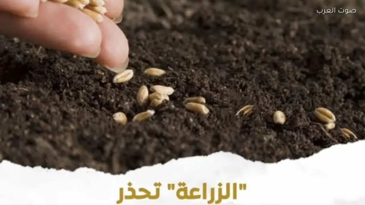 وزارة الزراعة تحذر من خطر زراعة التقاوي الوهمية