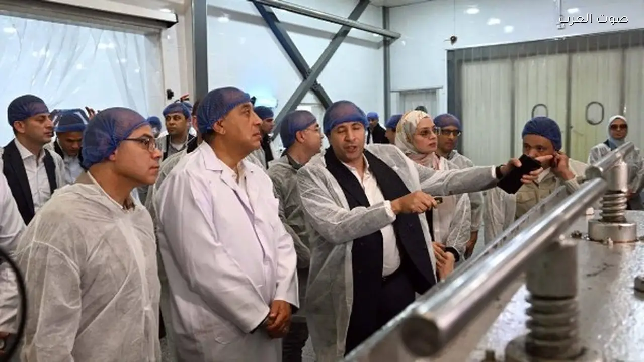 وزير الاستثمار: التمور المصرية تتجه بقوة للأسواق العالمية